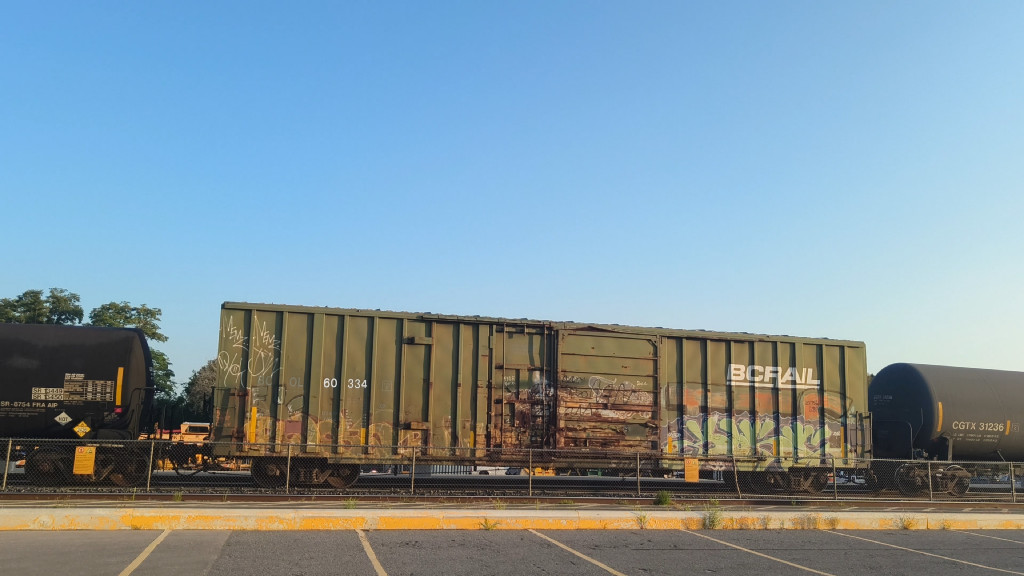 BCOL 60334